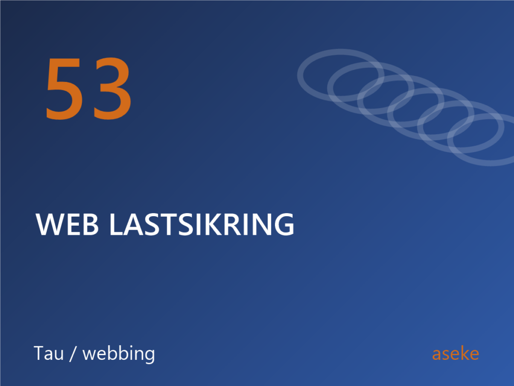 53 Web lastsikring